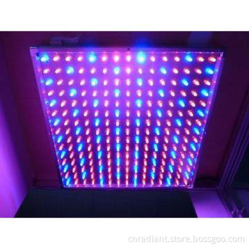 LED Grow Light,High Power,600W,Plant Grow Light,CE&RoHS